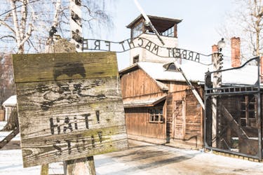 Rondleiding door Auschwitz en zoutmijn met ophaalservice vanuit Krakau
